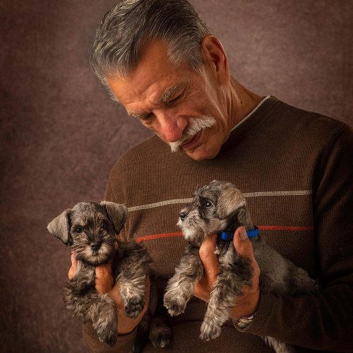 Gracie-and-Harper_Evans-Select-Schnauzers